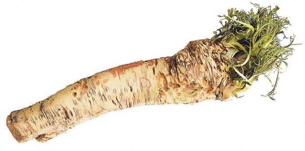 Traditional bitter herbs  