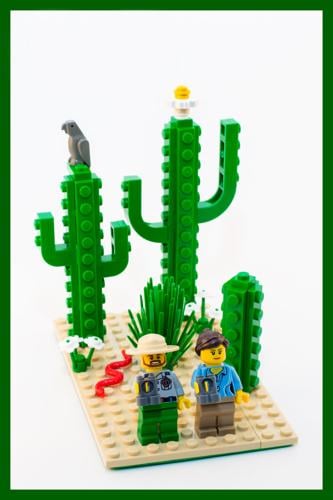LEGO IDEAS - Evolution Of Cacti