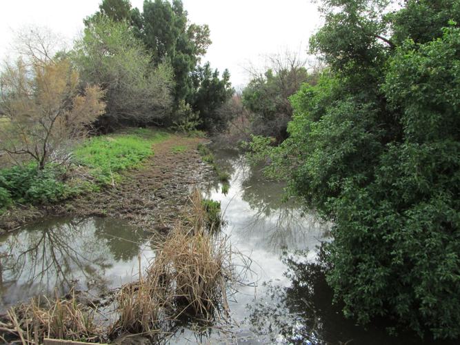 Santa Cruz River