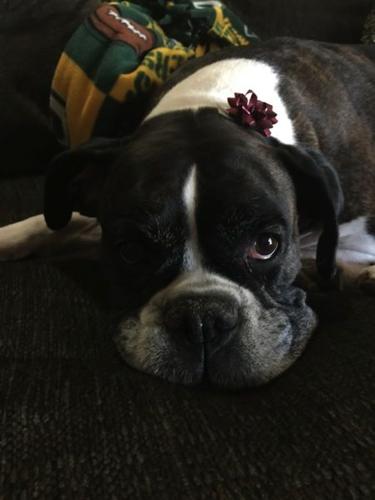 Happy National Dog Day!