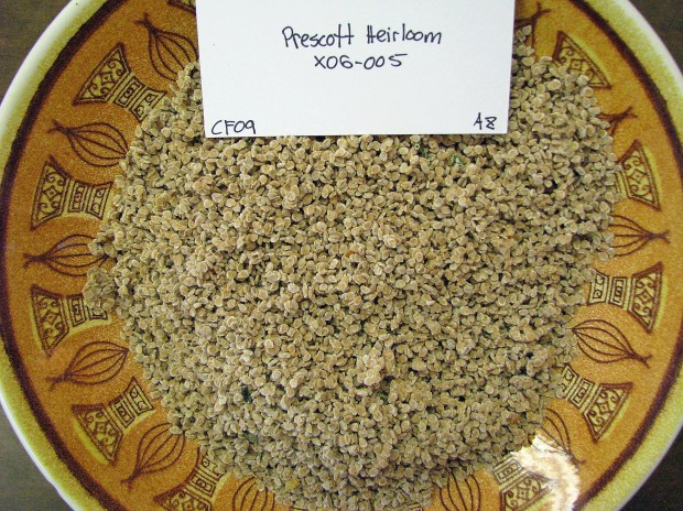 Store seeds now, plant next year   