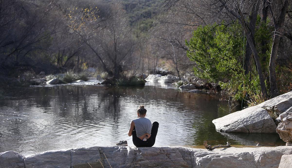 Sabino Canyon