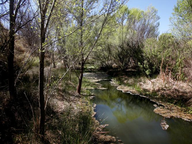 Cienega Creek