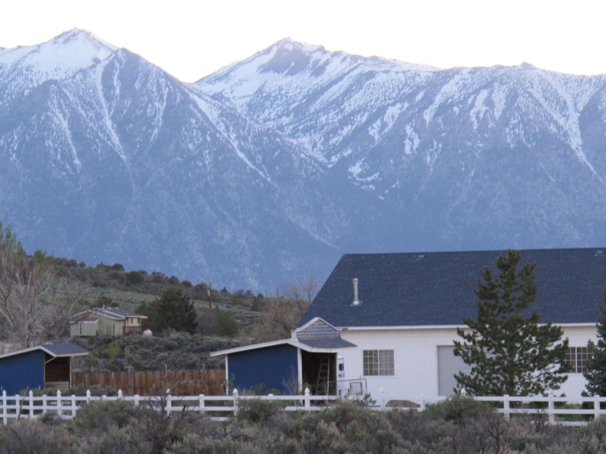 Wild Horses Nevada Neighborhood