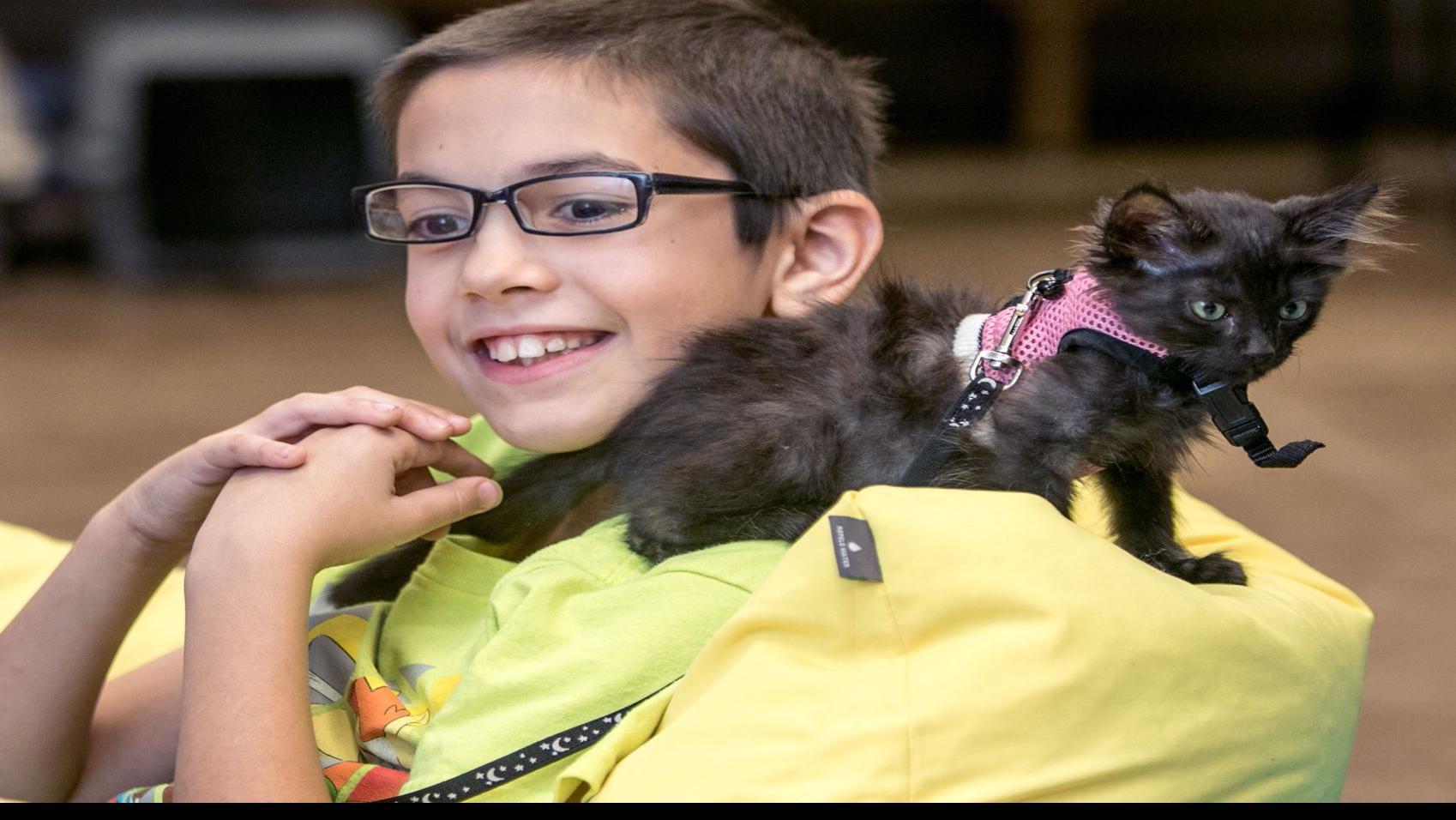 Tucson Pet Therapy Program Purrfect Match For Kids Cats Families Tucson Com