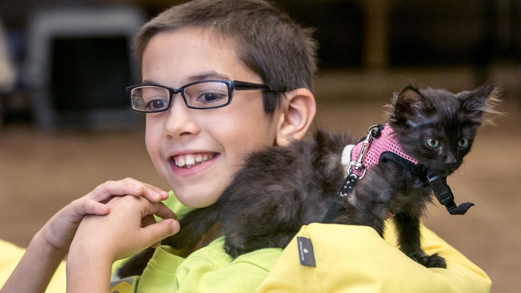 Tucson Pet Therapy Program Purrfect Match For Kids Cats Families Tucson Com