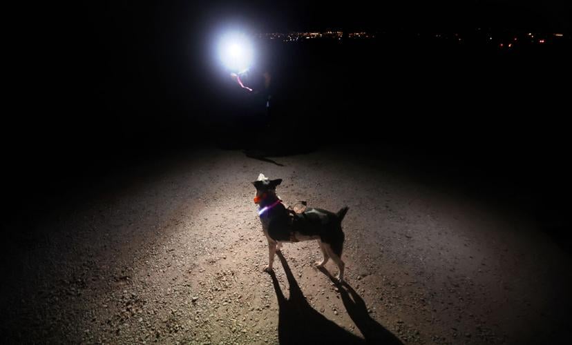 Tucson volunteers train their dogs to be heroes