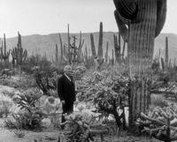 Saguaro National Park