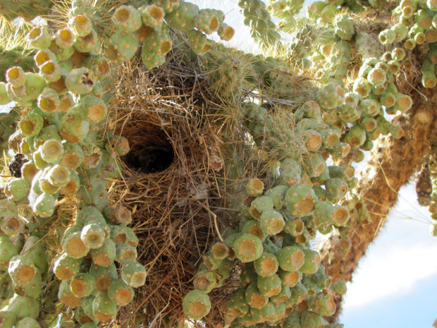 Catalina Park has it all    