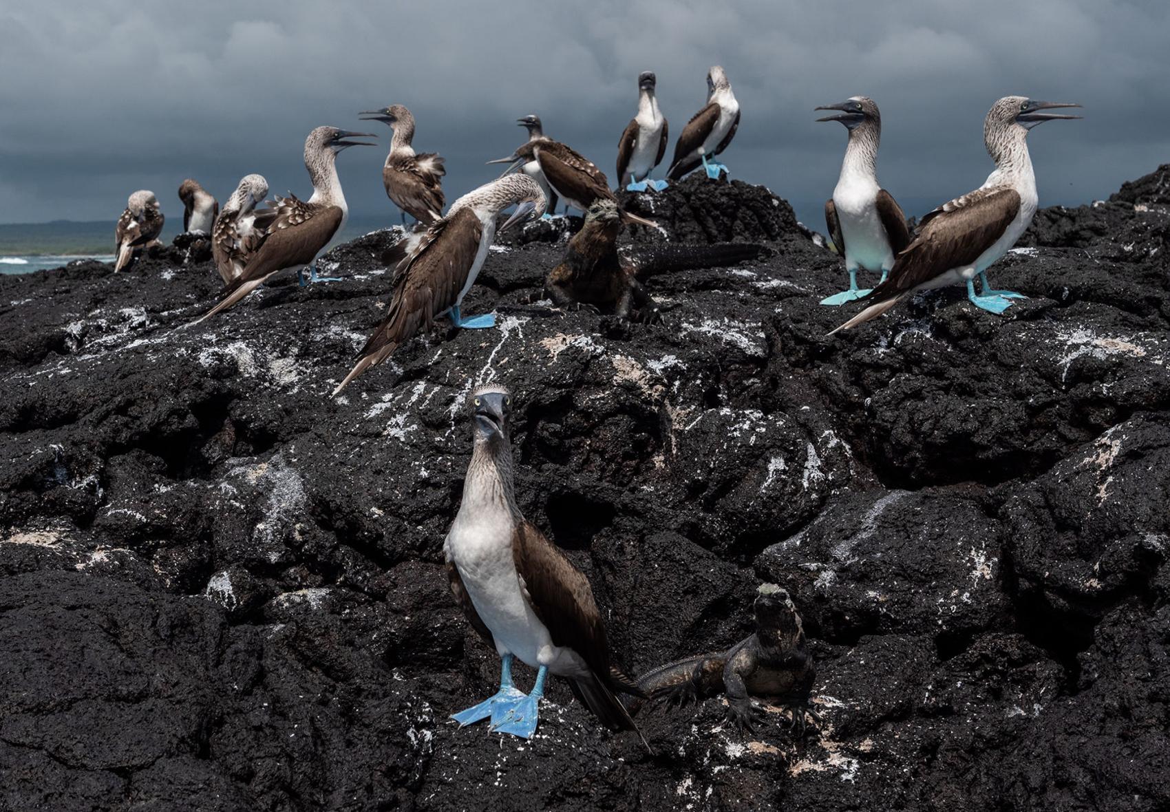 600 gallons of oil spill in waters off Galapagos Islands