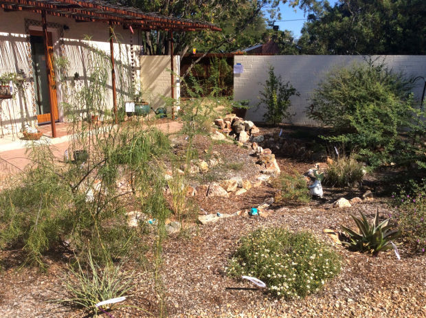Rainwater basin
