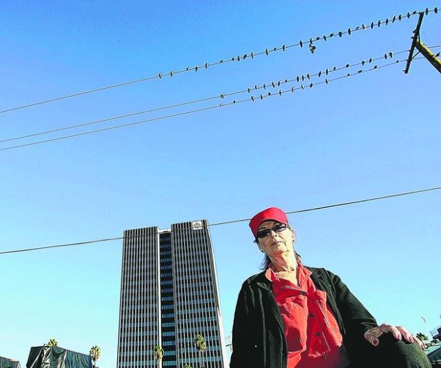 Hollywood meets pigeon lady in dark thriller  