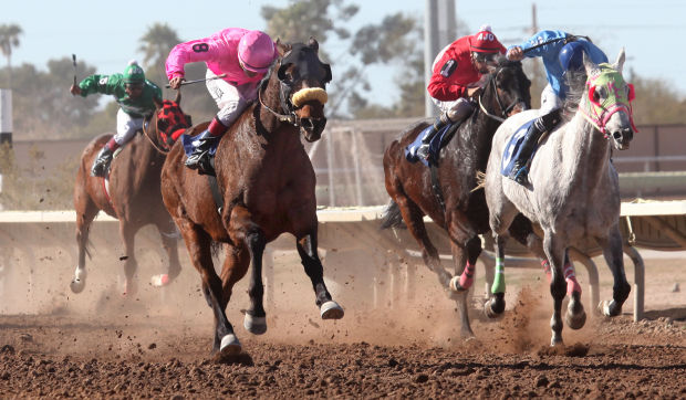 Horse racing at Rillito Race Track