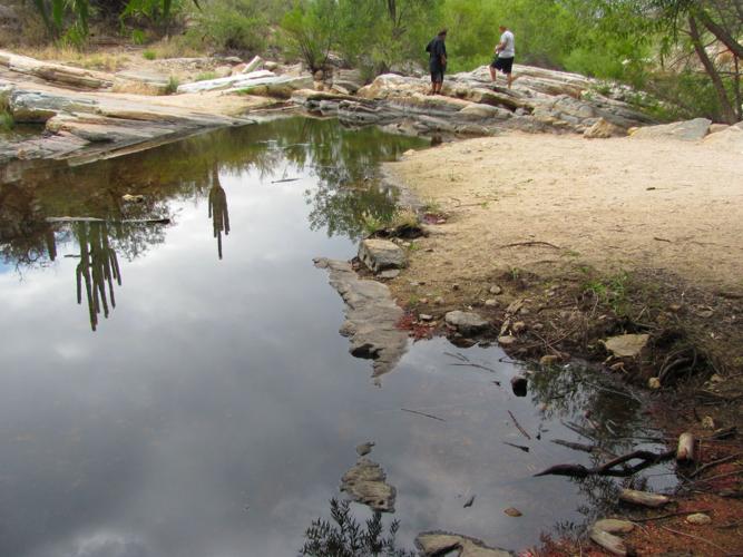 Pool in Sabino Canyon