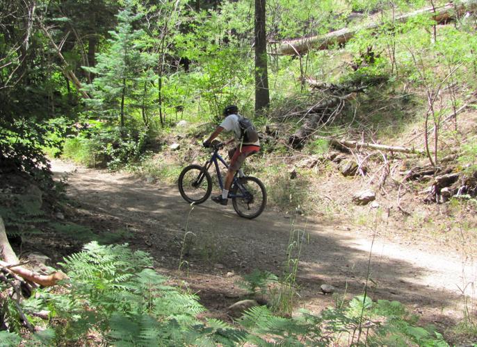 Cyclist in Upper Sabino Canyon