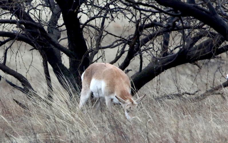 Empire Ranch history