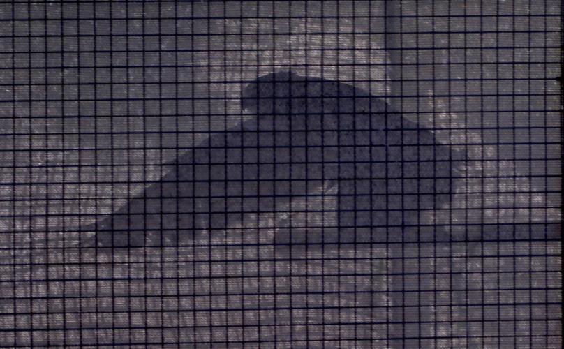 Wildlife sanctuary rebuilds