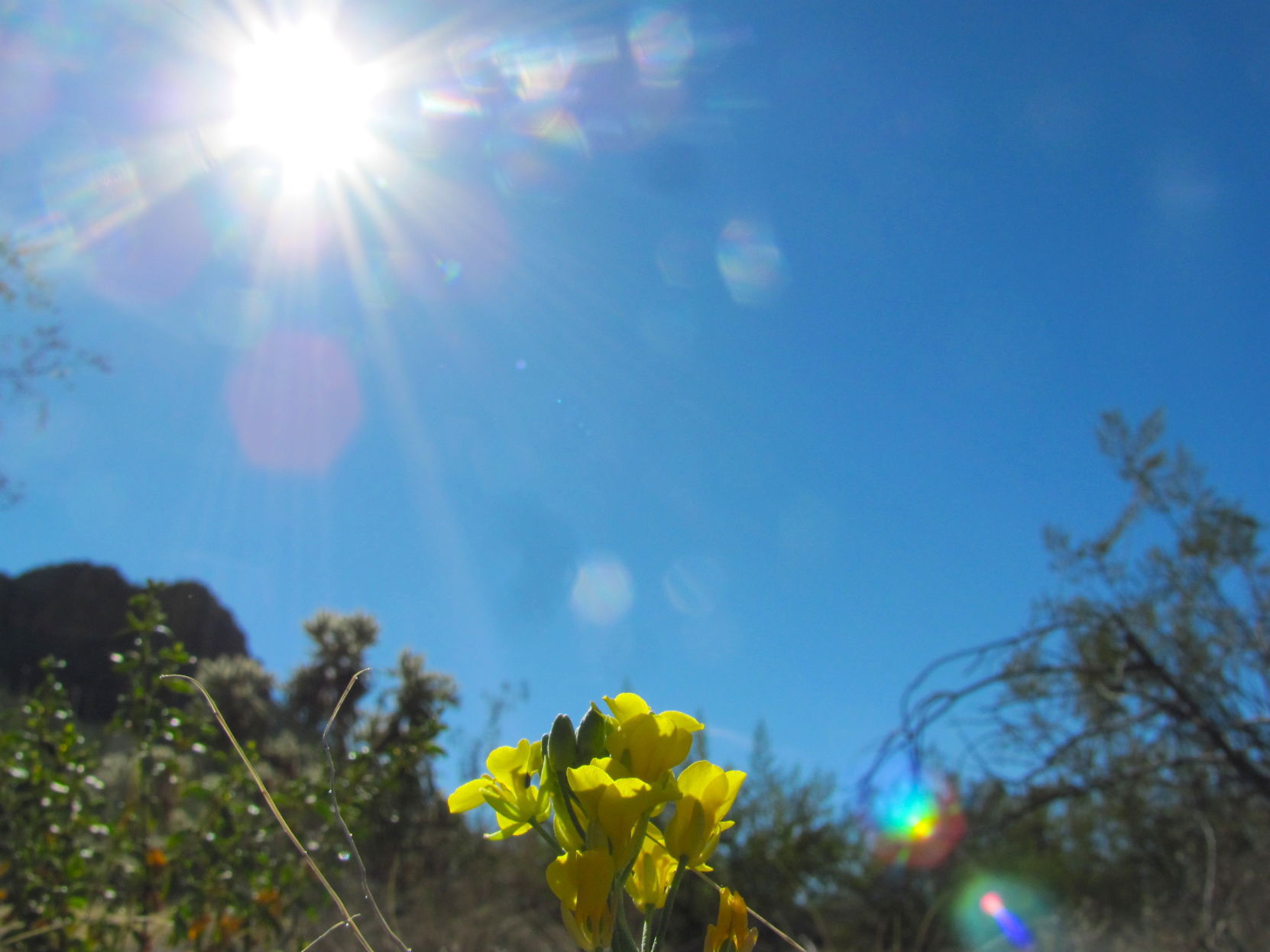 Tucson Weather: Warmer Temps Are Here For A Bit