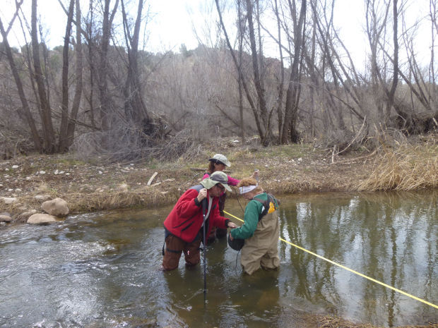 Great Old Broads in Verde River