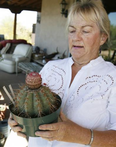 Plant collecting a hobby only for the hardy    