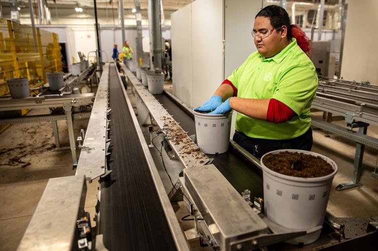 Bayer Automated Greenhouse