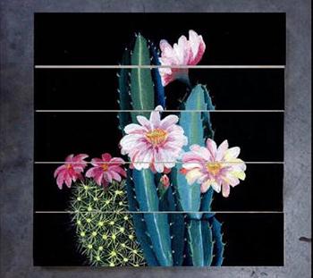 Paint Blooming Succulents