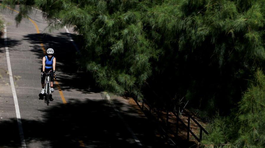 Santa Cruz River overgrowth