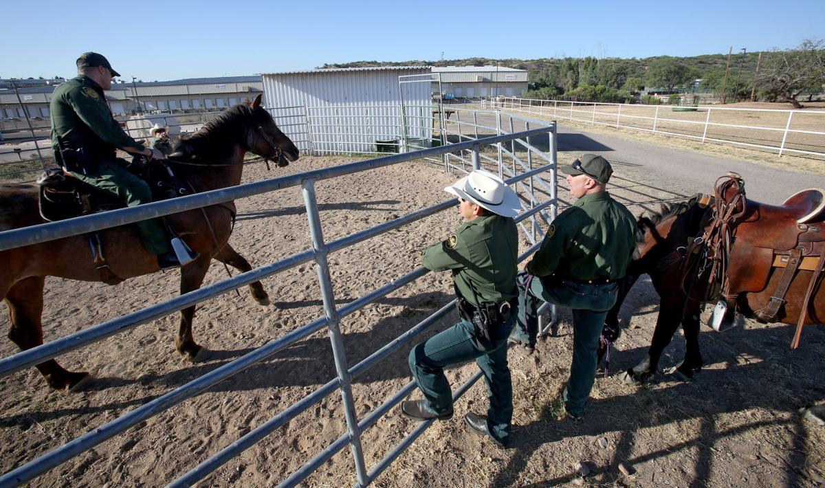 Photos U.S. Border Patrol horseback unit Local news