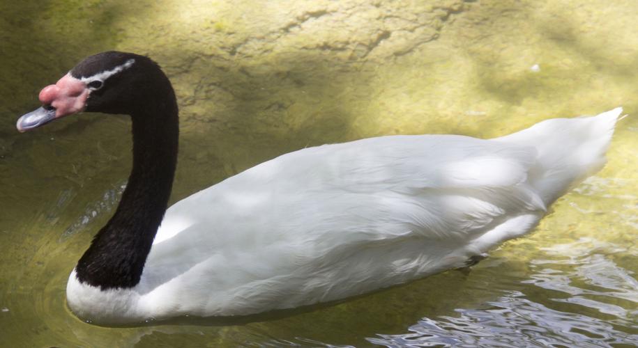 20 LE G SOCIALES P10