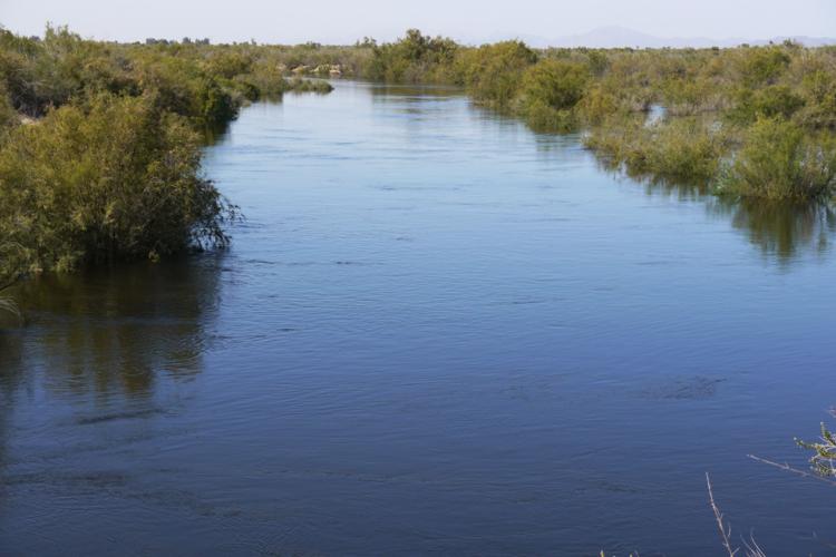 Colorado River delta after release