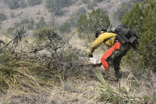 Arizona's Yarnell Hill Fire
