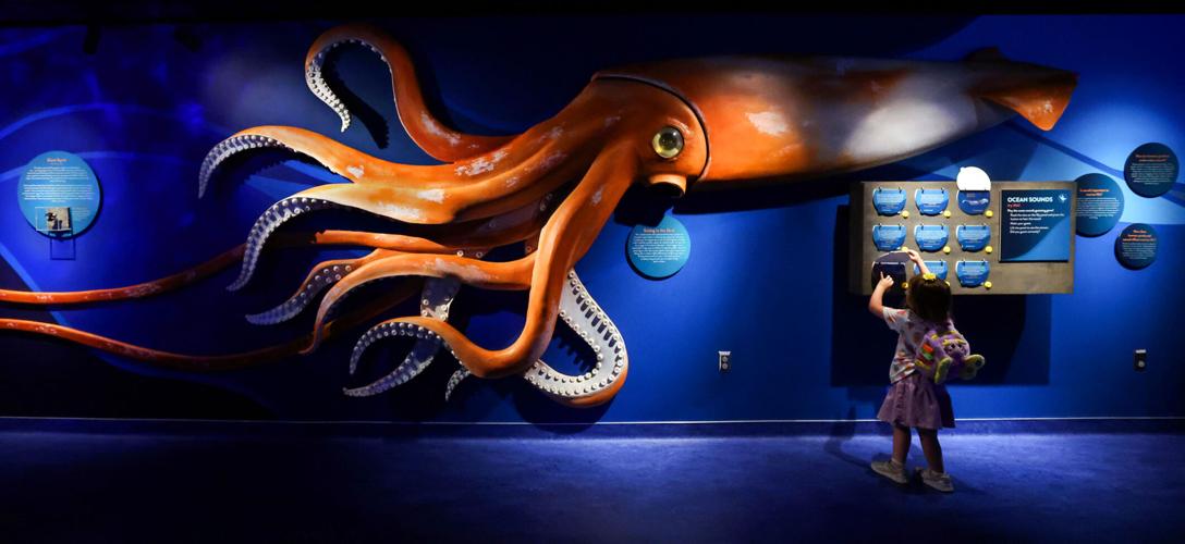 Flandrau Science Center and Planetarium