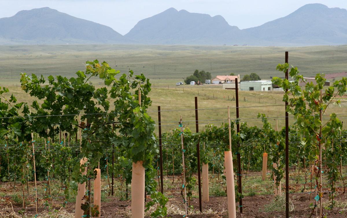 Saturday, August 12-Sunday, August 13 — Make bad decisions in Sonoita