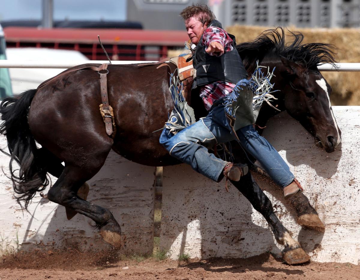 Photos 100th Sonoita Labor Day Rodeo