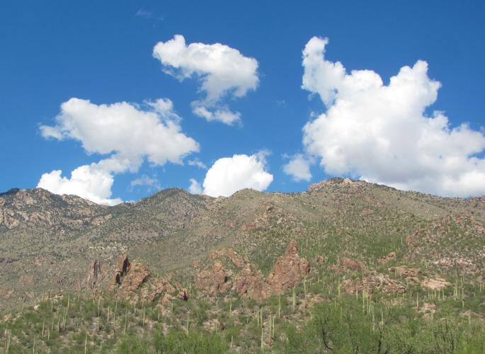 Saguaros and blue skies
