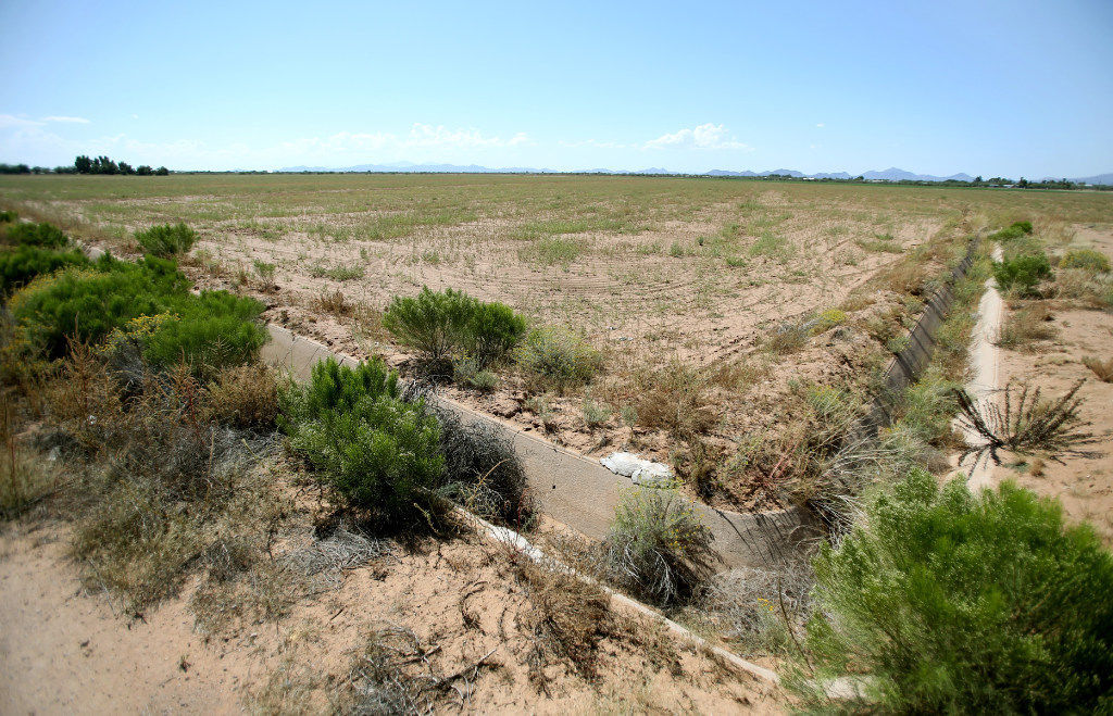 Possible site of Monsanto facility