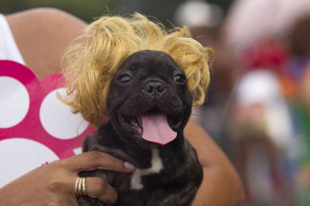 Animal shots of the week