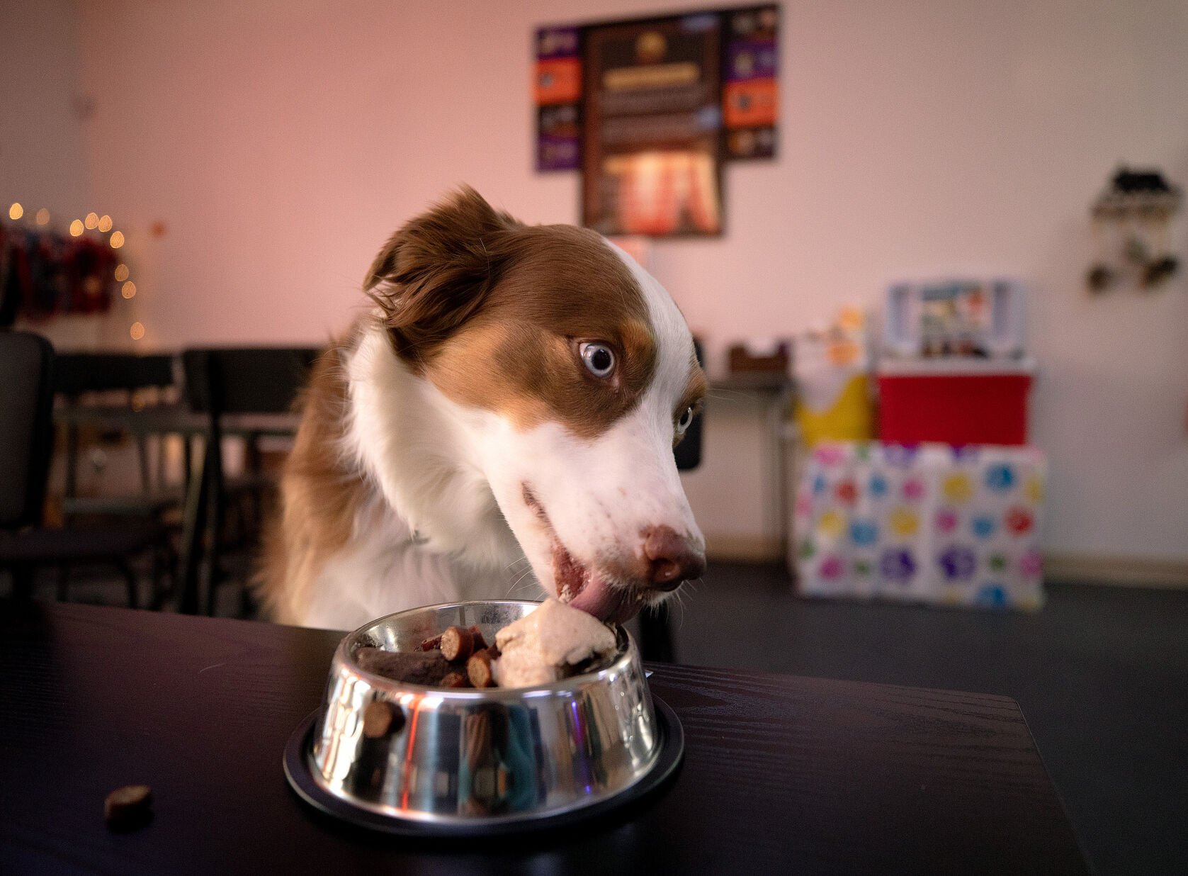 Get ice cream for dogs and other treats from Cones For Bones