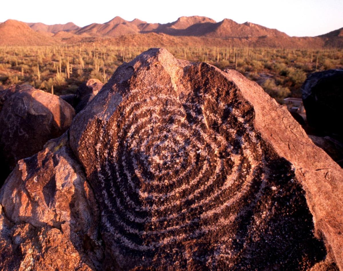 saguaro national park petroglyphs