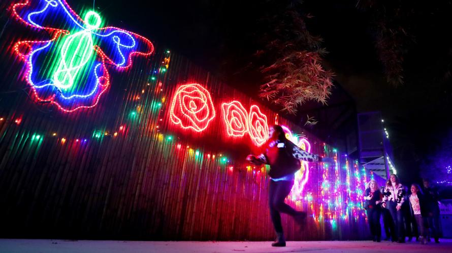 Christmas and holiday lights in Tucson 2023 to do