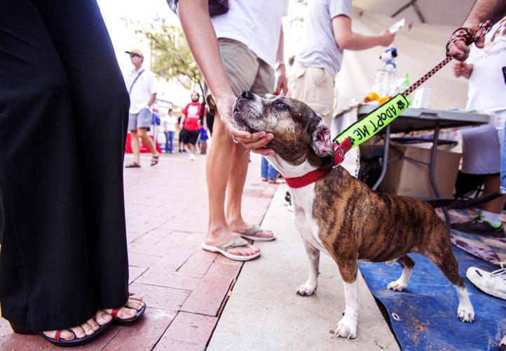 Tucson Meet Yourself