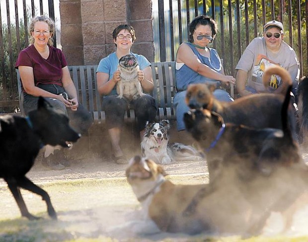 Mud bog, light plan make pet pals growl  
