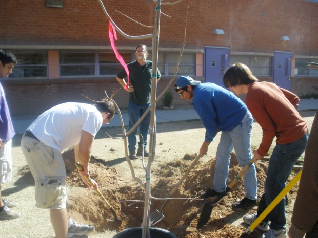 Rincon/University campus is beautified by volunteers    