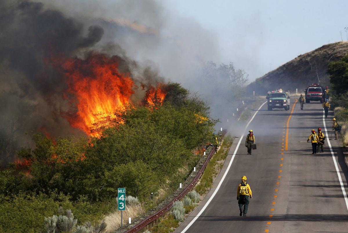 Oak Tree Fire