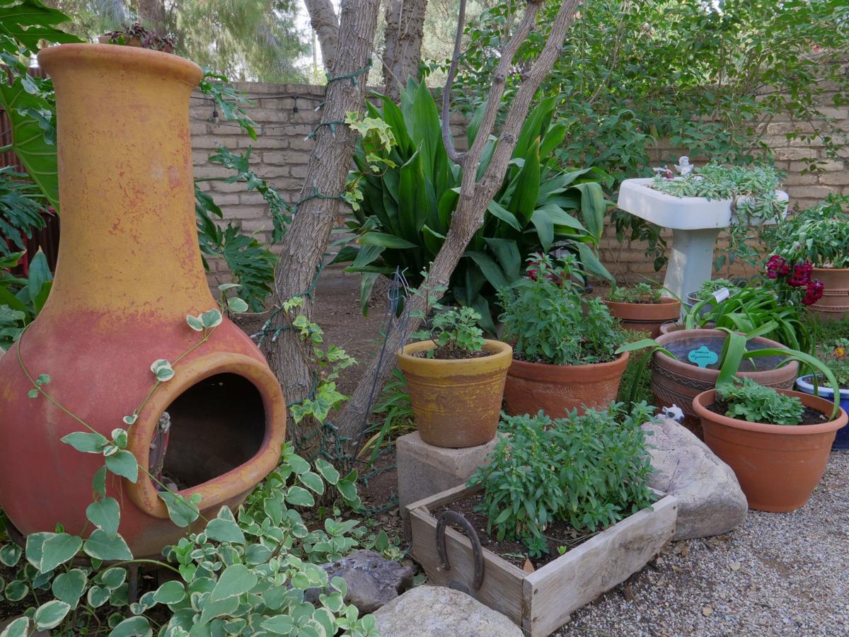 Tucson Gardens That Will Take You Back In Time Tucson Com