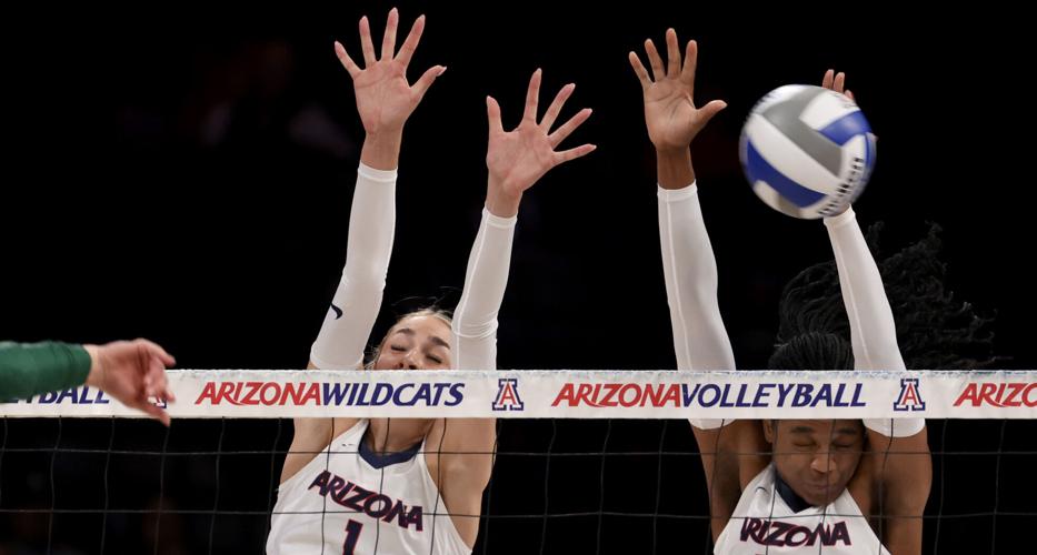 U of A vs NDSU-p16.jpg