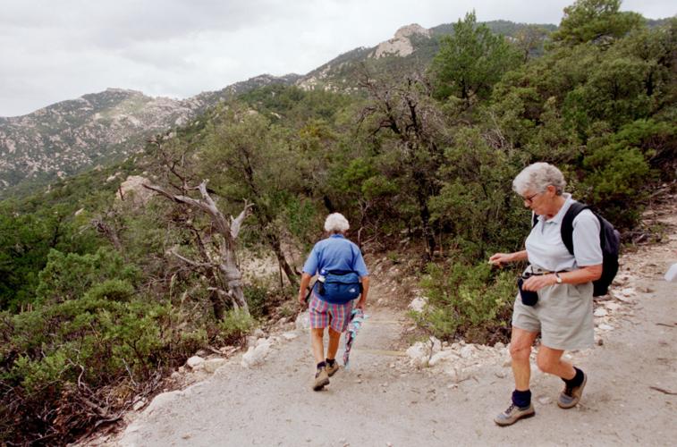 Trails on the eastern slopes of the Santa Catalina Mountains
