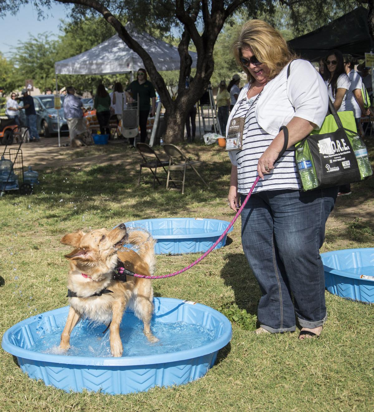 Photos: Dogtoberfest | Local news | tucson.com