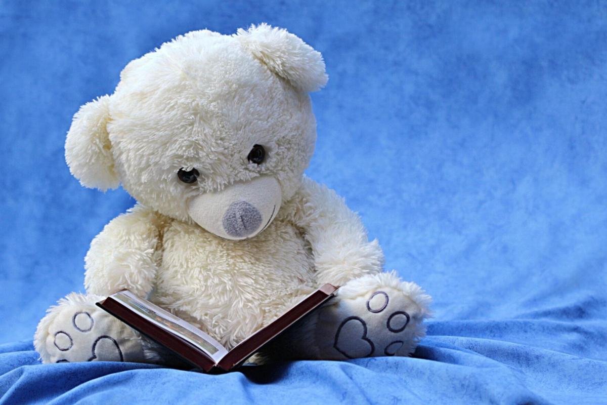 Bear-pic.jpg