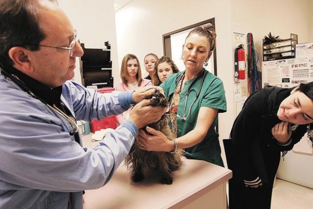 Exploring possible careers  